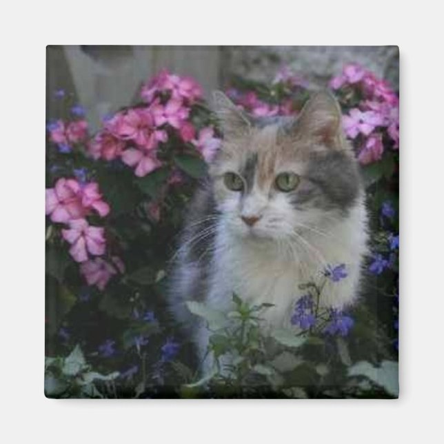 Kitty Love Magnet (Front)