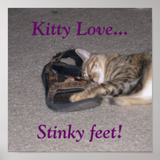 Kitty Love..., Stinky feet! Poster
