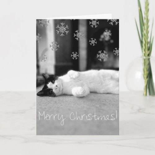 Kitty Merry Christmas Card