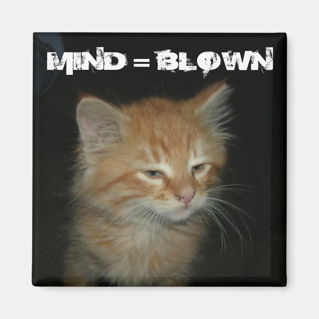 Kitty "MIND = BLOWN" Magnet (Front)