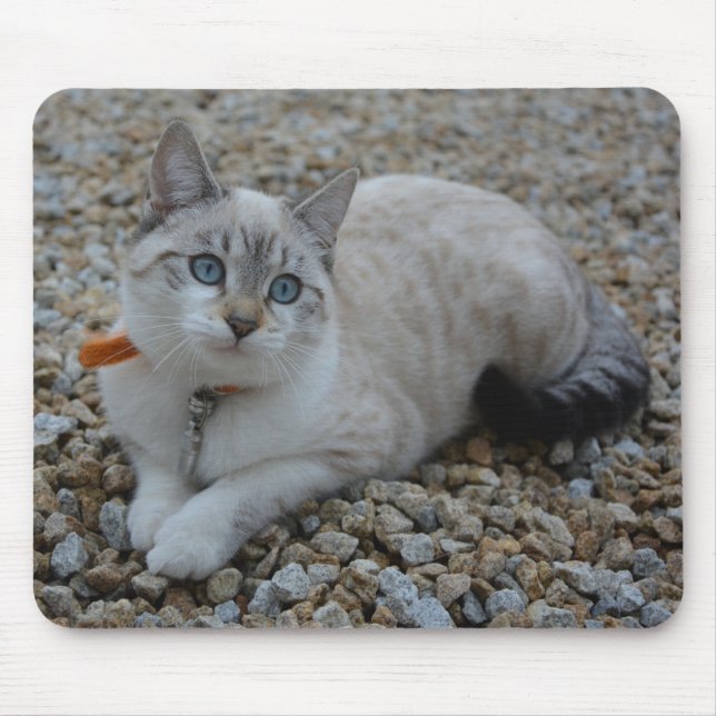 Kitty Mouse Pad (Front)