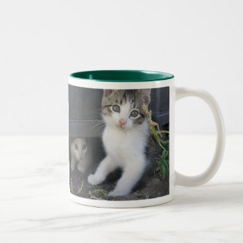 Kitty Mug by designerdave at Zazzle
