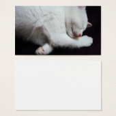 KITTY NAP (Front & Back)