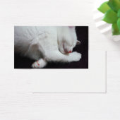 KITTY NAP (Desk)