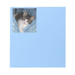 Kitty On Blue Notepad