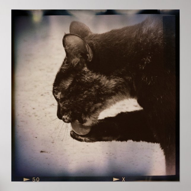 Kitty On Film, Digital Art Poster (Front)