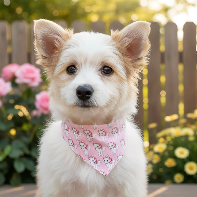 Kitty Pet Bandana Collar (Creator Uploaded)