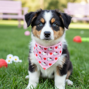 Kitty Pet Bandana Collar