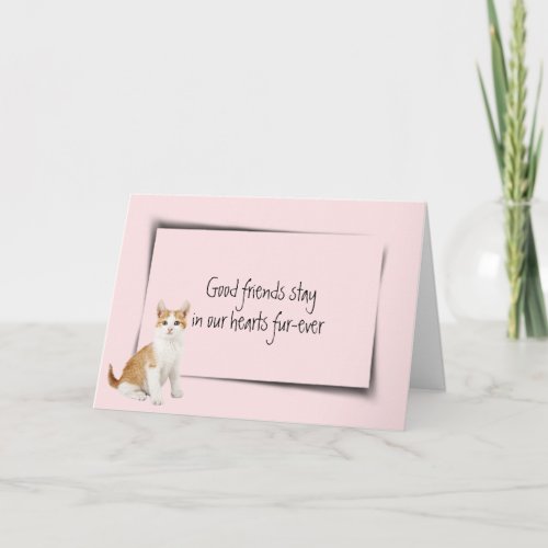 Kitty Pet Loss Sympathy on Pink Card