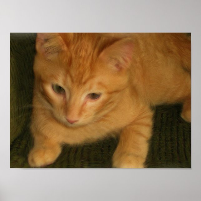 Kitty Photo Print (Front)