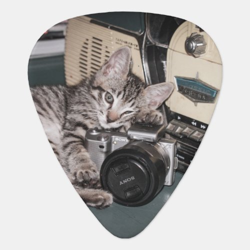 Kitty photographer guitar pick