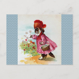 Kitty Picking Flowers Postcard