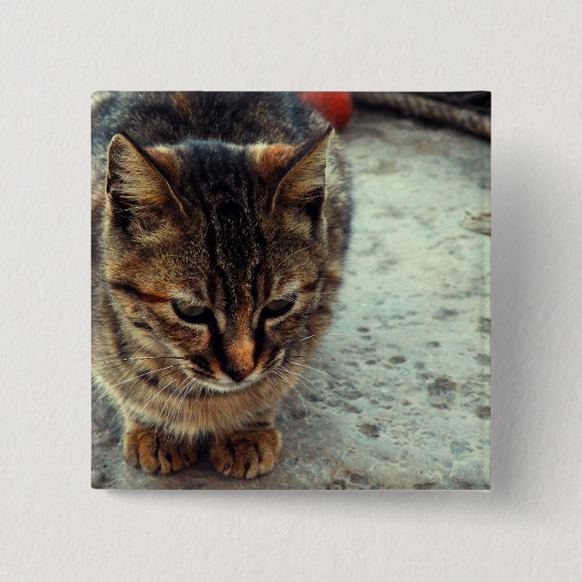 Kitty Pinback Button (Front)
