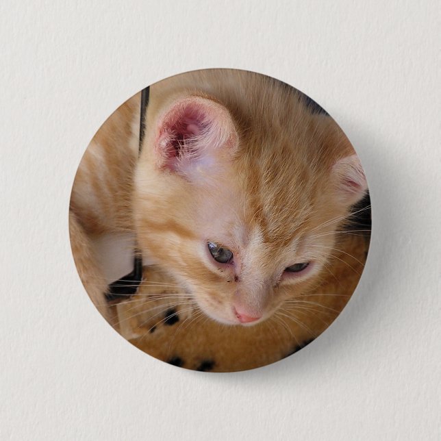 KITTY PINBACK BUTTON (Front)