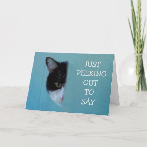 Kitty Poetry Get Well Card