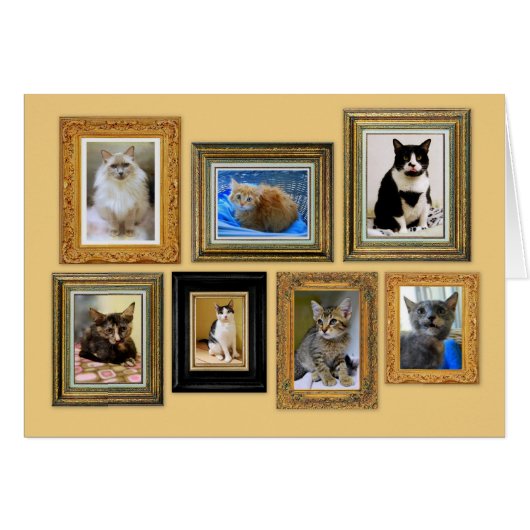 Kitty Portrait Gallery Card (Front Horizontal)
