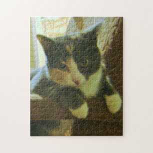 Kitty Puzzle