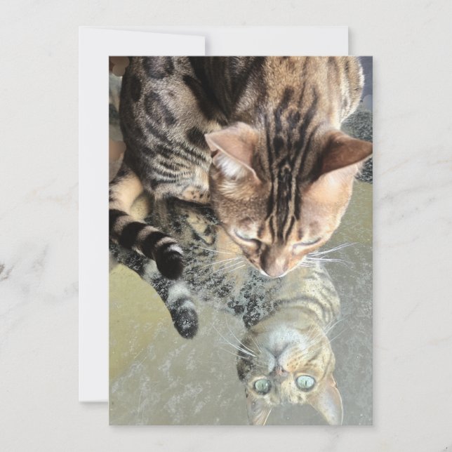 kitty reflection invitation (Front)