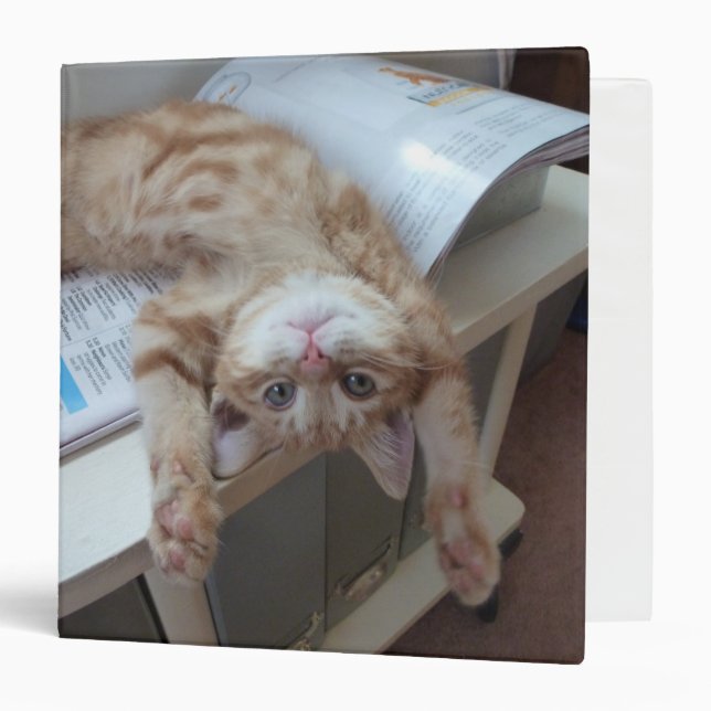 Kitty Relaxing Binder (Front/Inside)