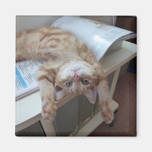 Kitty Relaxing Magnet (Front)