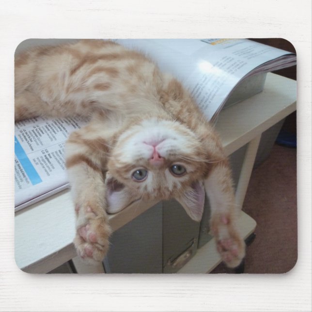 Kitty Relaxing Mouse Pad (Front)