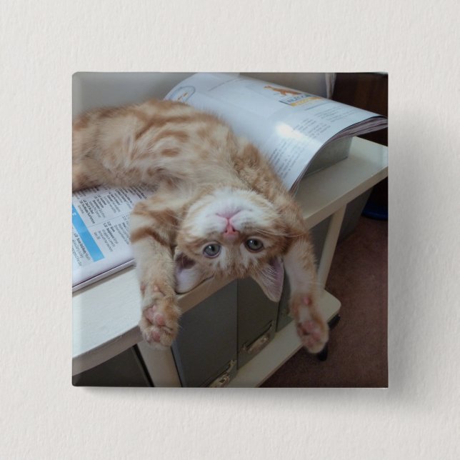 Kitty Relaxing Pinback Button (Front)