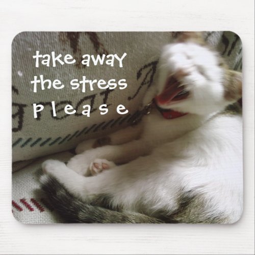 KITTY SAYS TAKE AWAY THE STRESS PLEASE MOUSE PAD