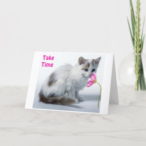 KITTY SAYS TAKE TIME SMELL FLOWER ON BIRTHDAY CARD