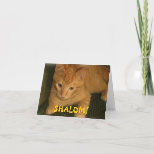Kitty SHALOM Jewish Greeting Card