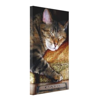 Kitty Sleep Book Wrapped Canvas Stretched Canvas Print