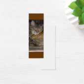 Kitty Sleep Profile Card (Desk)
