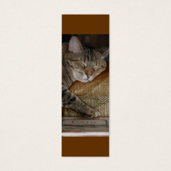 Kitty Sleep Profile Card by PattiJAdkins at Zazzle