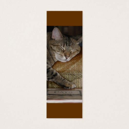 Kitty Sleep Profile Card (Front)