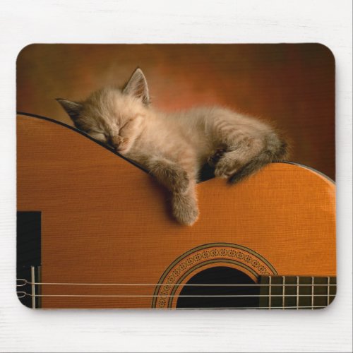 Kitty Sleeping on Guitar Mousepad