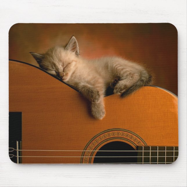 Kitty Sleeping on Guitar Mousepad (Front)