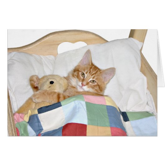 Kitty sleeps with teddy bear cards (Front Horizontal)