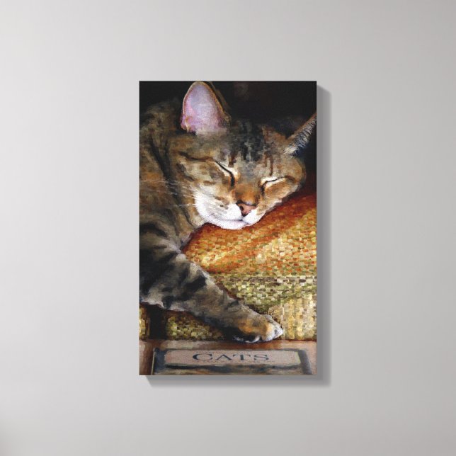 Kitty Sleepy Book Canvas Print (Front)