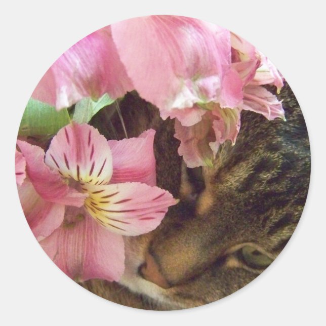 kitty smelling Flower stickers (Front)