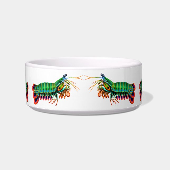 Kitty Sushi Mantis Shrimp Cat Bowl (Front)