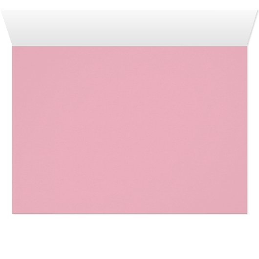 Kitty Sweet Donut (Inside Horizontal (Bottom))