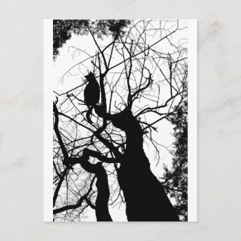 Kitty Tree Silhouette B&w Postcard by VoXeeD at Zazzle