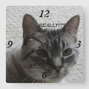 Kitty Tude Wall Clock !