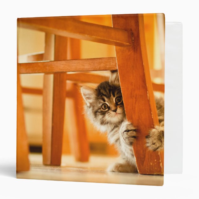 Kitty Under Chair Binder (Front/Inside)