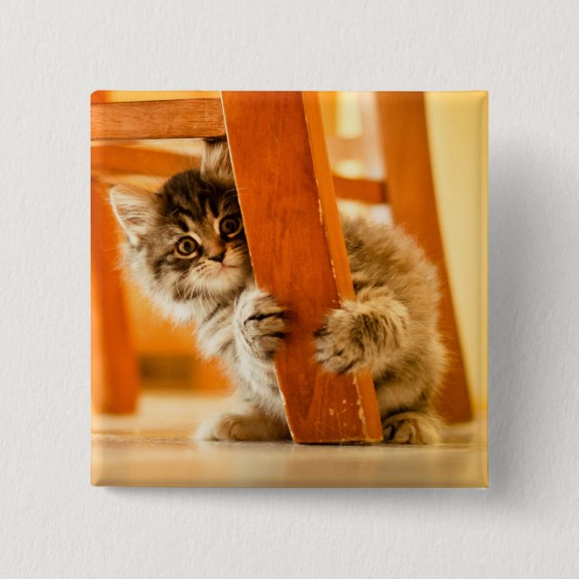 Kitty Under Chair Button (Front)