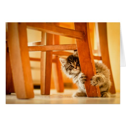 Kitty Under Chair Cards (Front Horizontal)