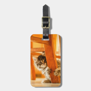 Kitty Under Chair Luggage Tag