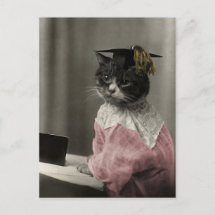 Kitty Valedictorian Postcard