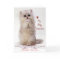 Kitty Valentine Greeting Card