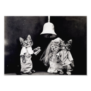 Kitty Wedding Photo Print