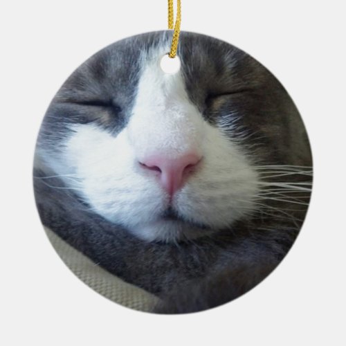 Kitty with pink nose sleeping ceramic ornament